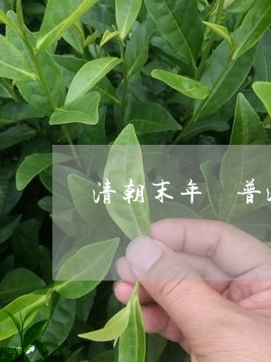 清朝末年 普洱茶/2023041035060